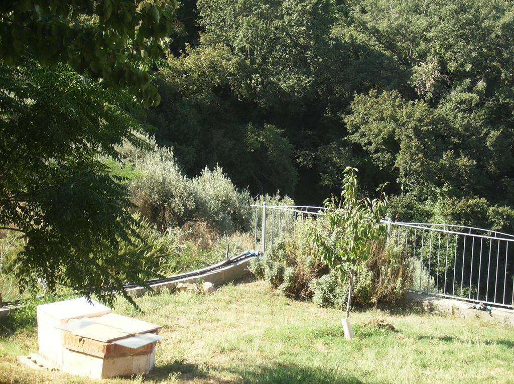 Maremma Verde Διαμέρισμα Montorgiali Δωμάτιο φωτογραφία